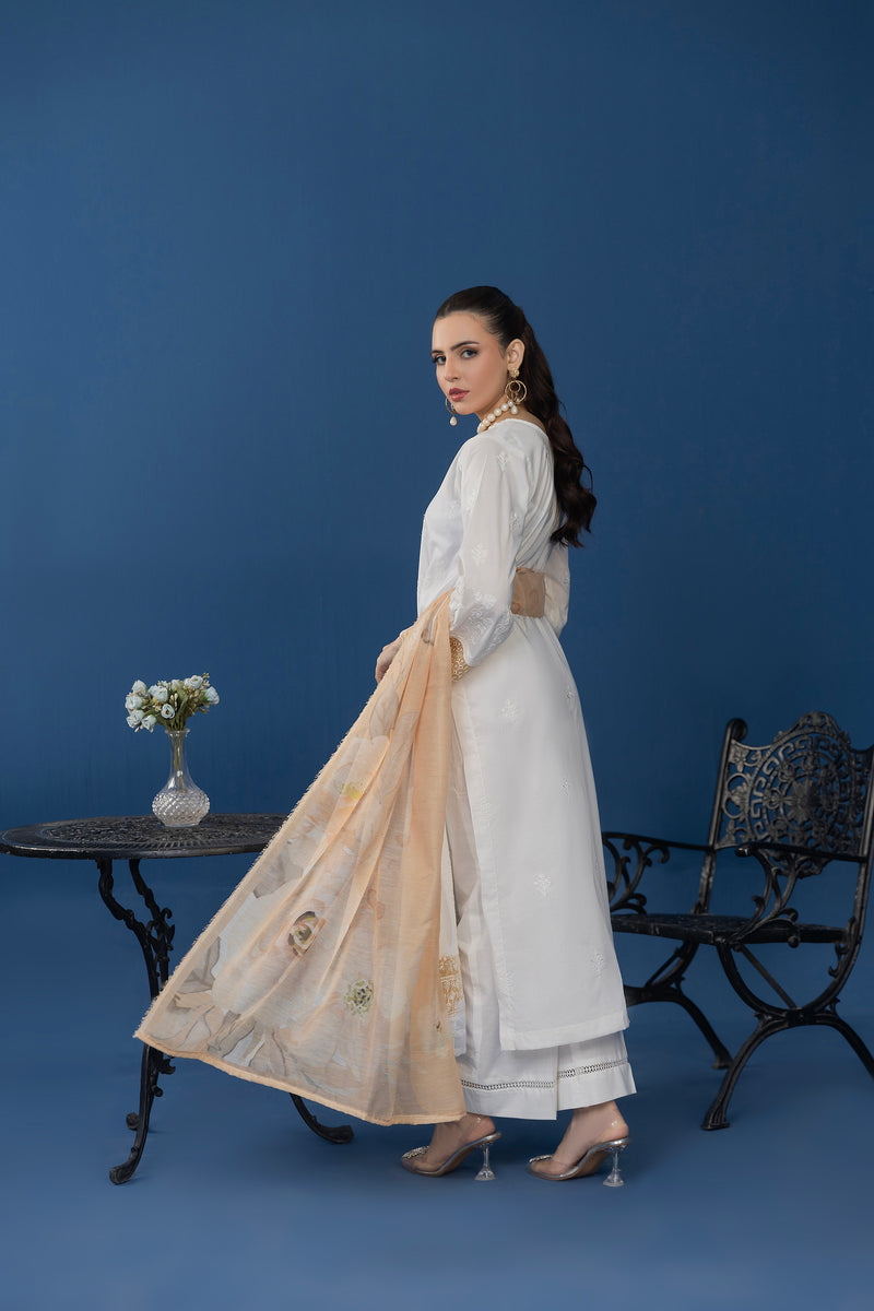 AYROONA - 3 PC UNSTITCHED